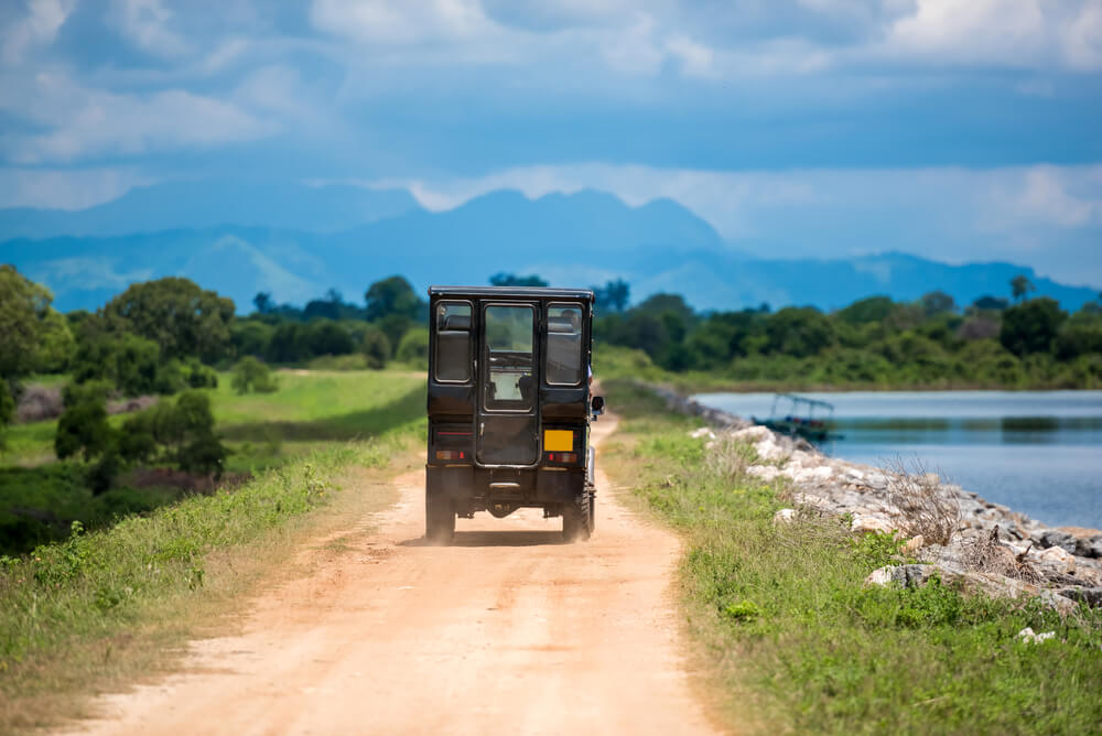 Sri Lanka with Kids: An Unforgettable Family Adventure