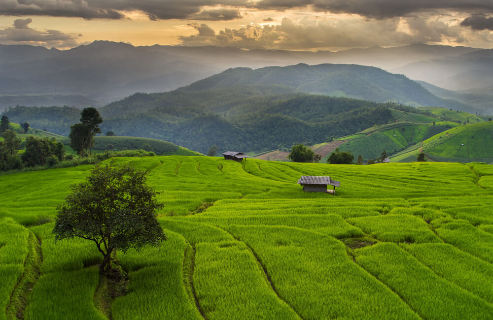 Chiang Mai: The Complete Guide to the Rose of Northern Thailand