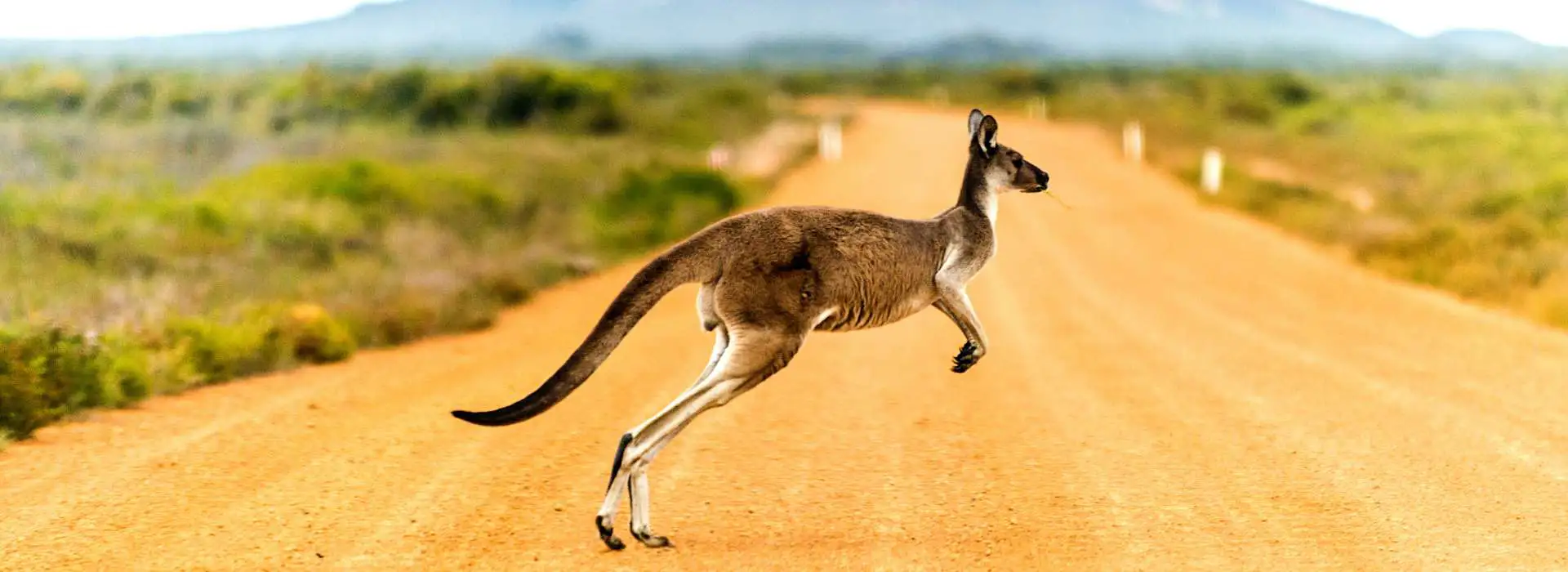 Australia, planned around the flights, because that is what decides the trip