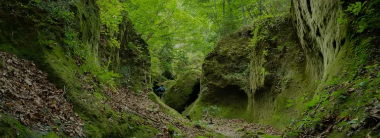 Walking the Kumano Kodo: which route, which season