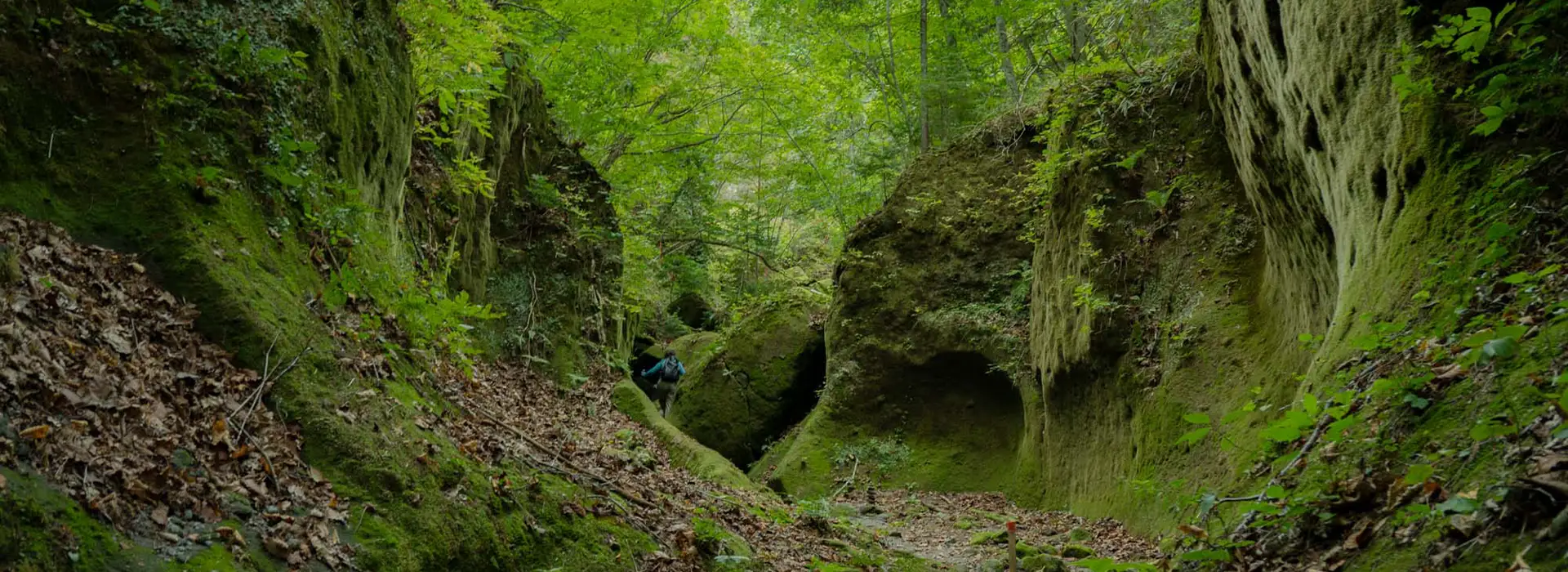 Walking the Kumano Kodo: which route, which season