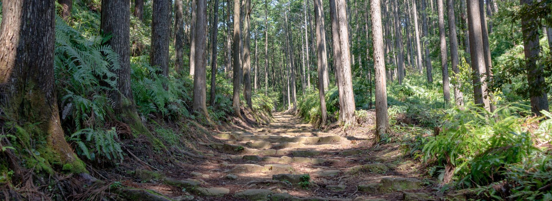 What we would skip in Japan