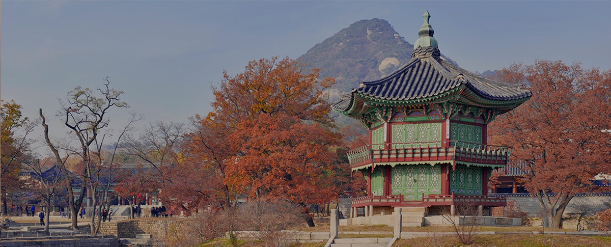 Korea with children: 11 days that work for everyone