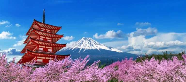 Japan by what it eats and makes: 13 days