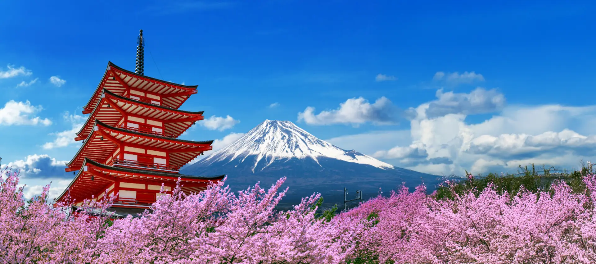 Japan by what it eats and makes: 13 days