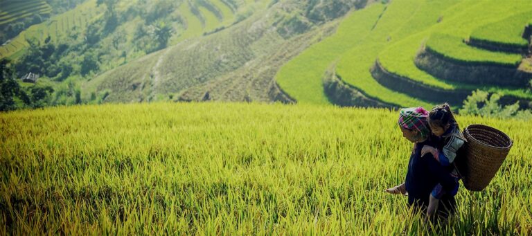 Vietnam food and culture: 13 days, three kitchens
