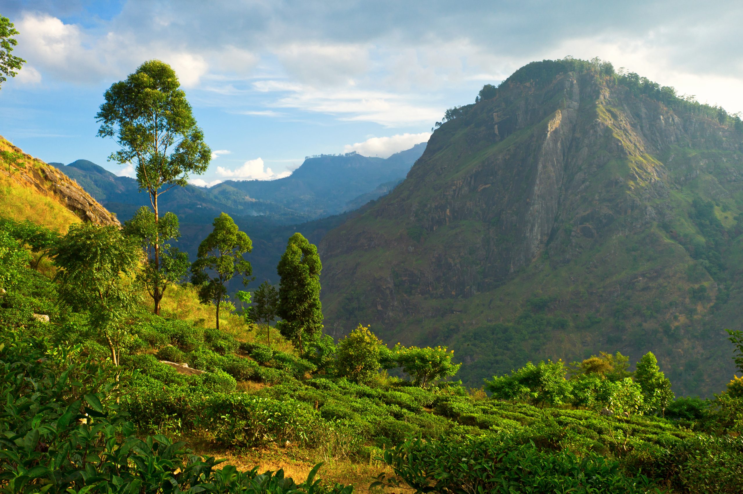 Romantic Sri Lanka: 11 days for two