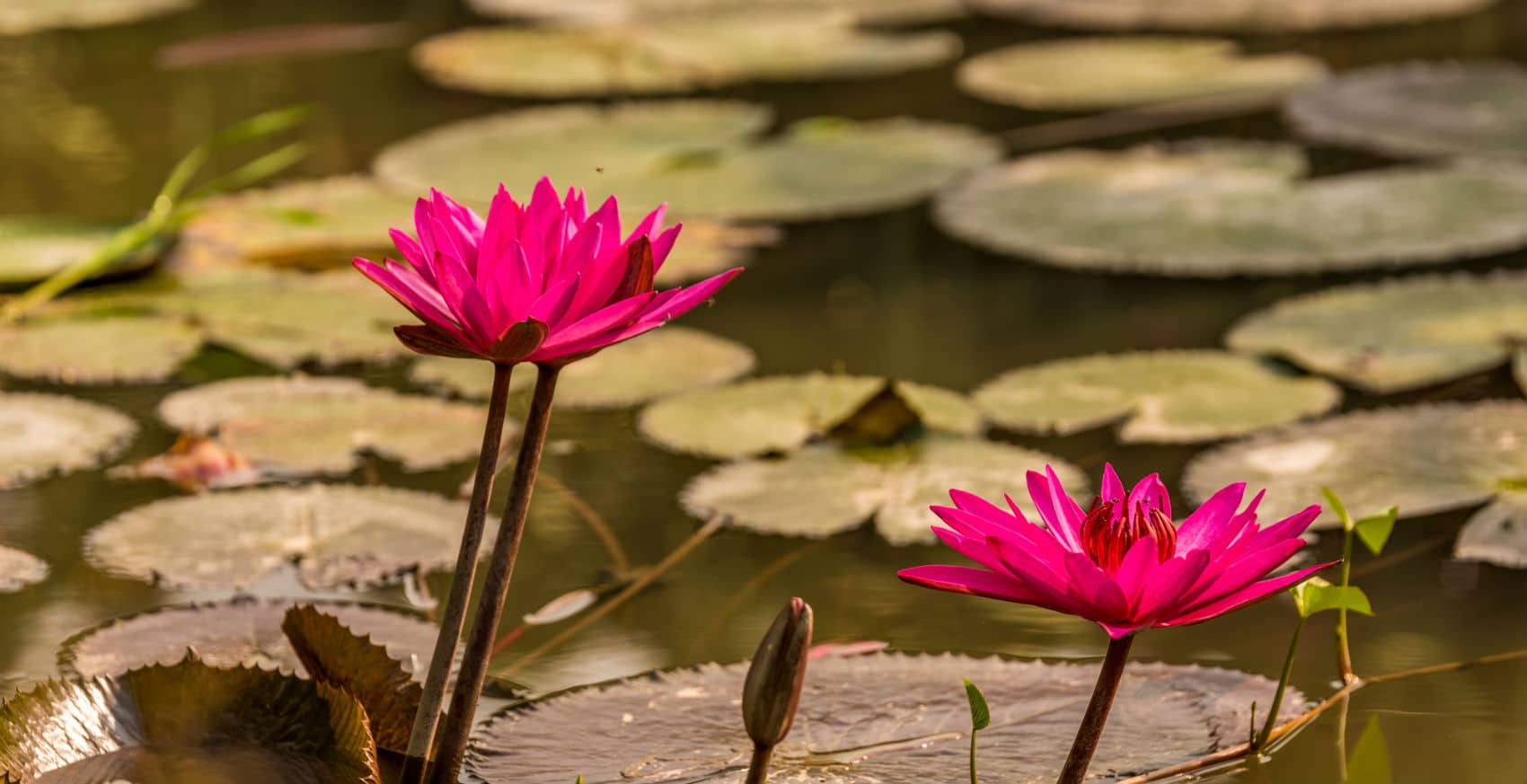 Boutique Vietnam: 12 days, and where the money actually goes