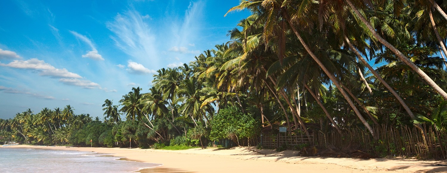 How much does two weeks in Sri Lanka cost?