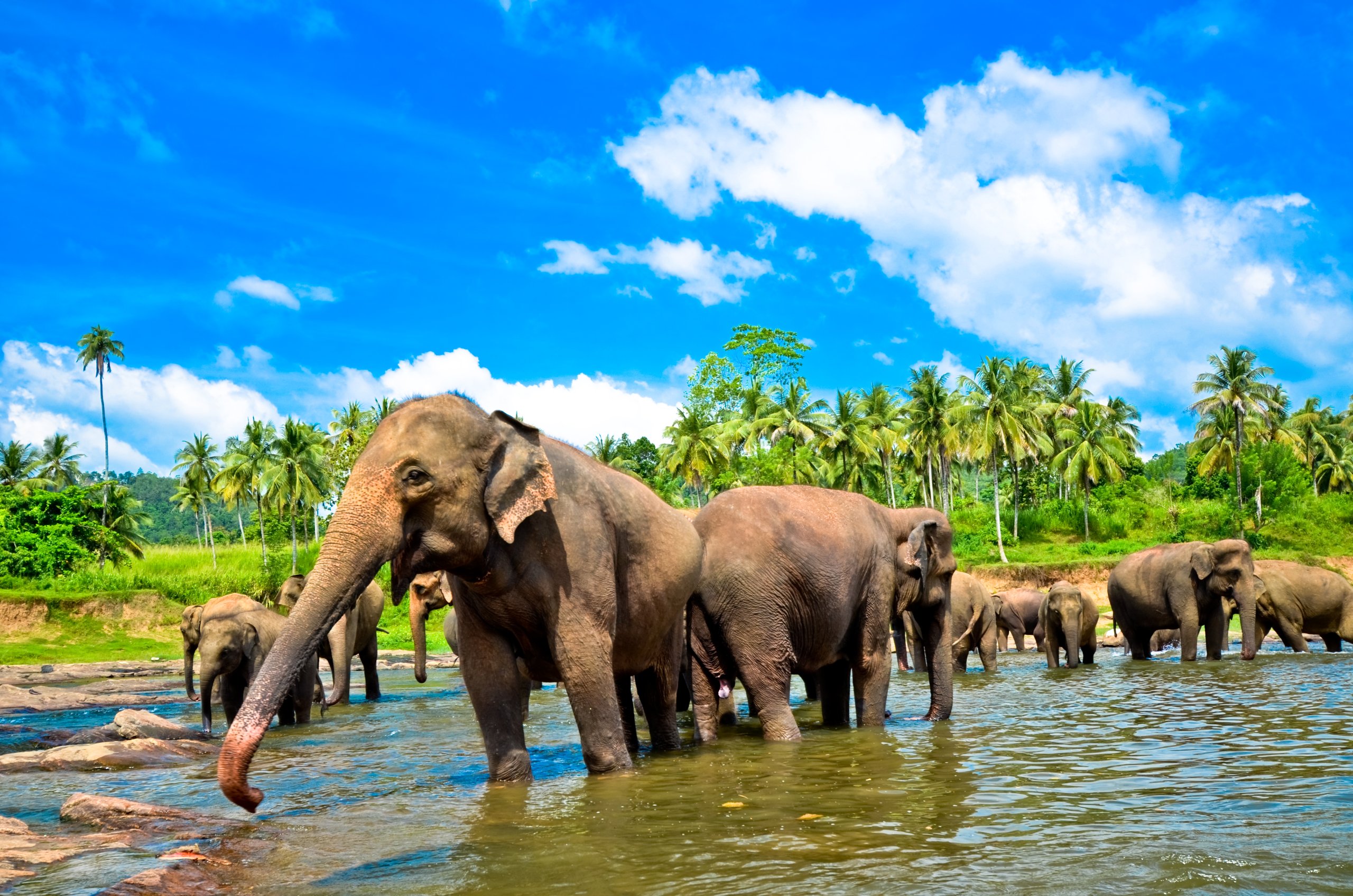 Classic Sri Lanka: 12 days