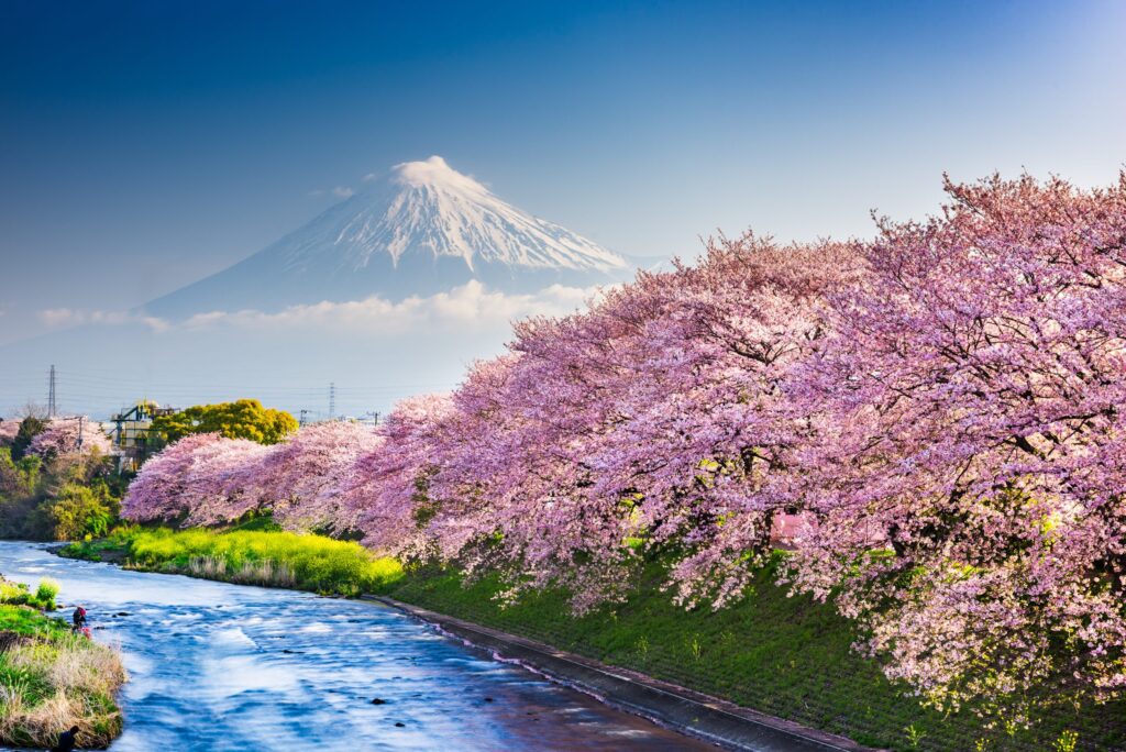 Japan, at the pace you actually want to travel it