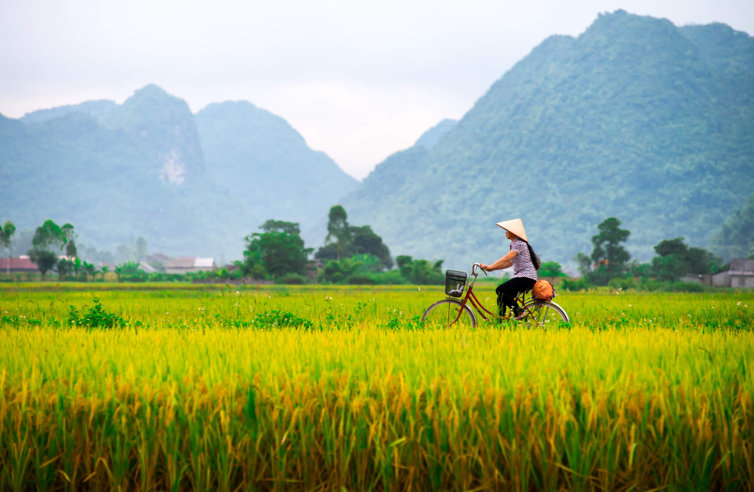 Ha Long, Bai Tu Long or Lan Ha? An honest comparison
