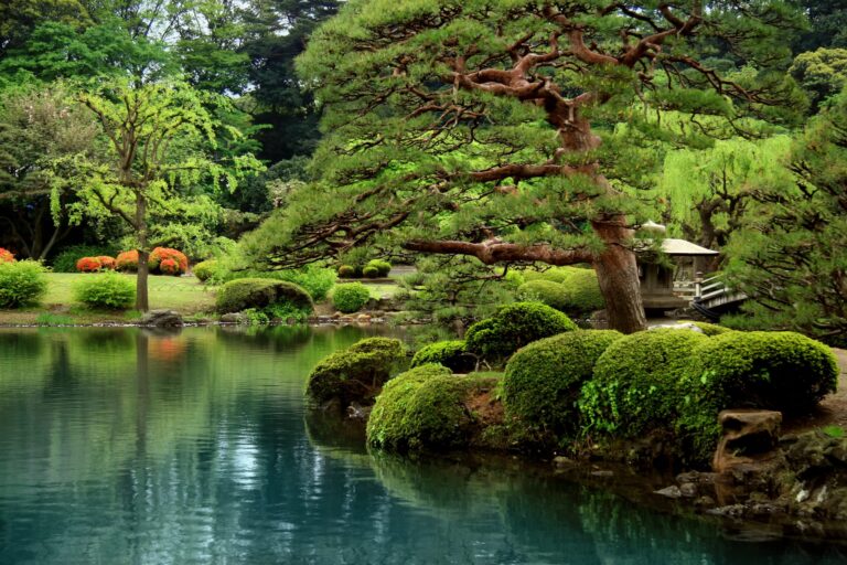Japan: the complete guide to planning your trip