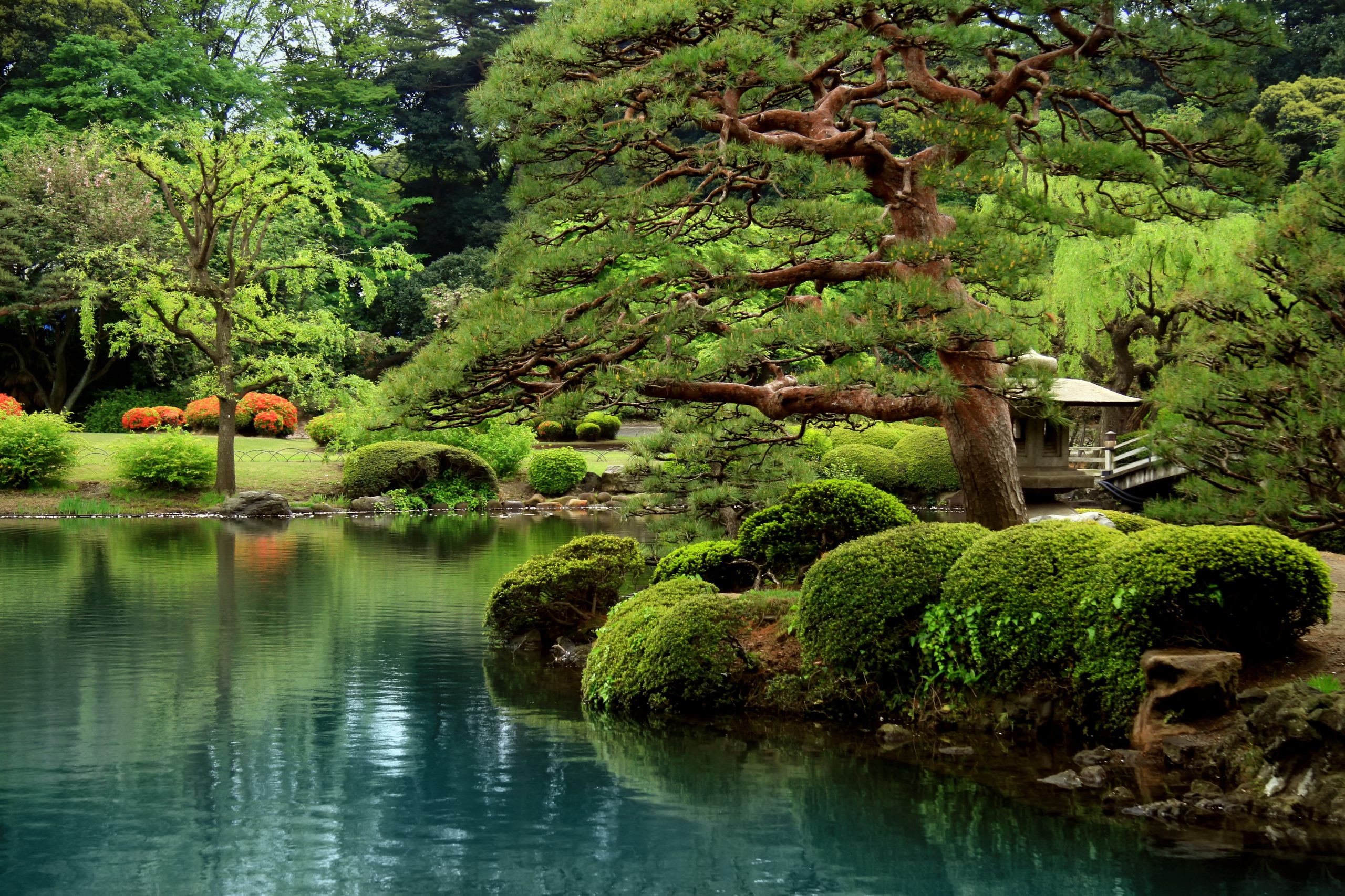 Japan: the complete guide to planning your trip