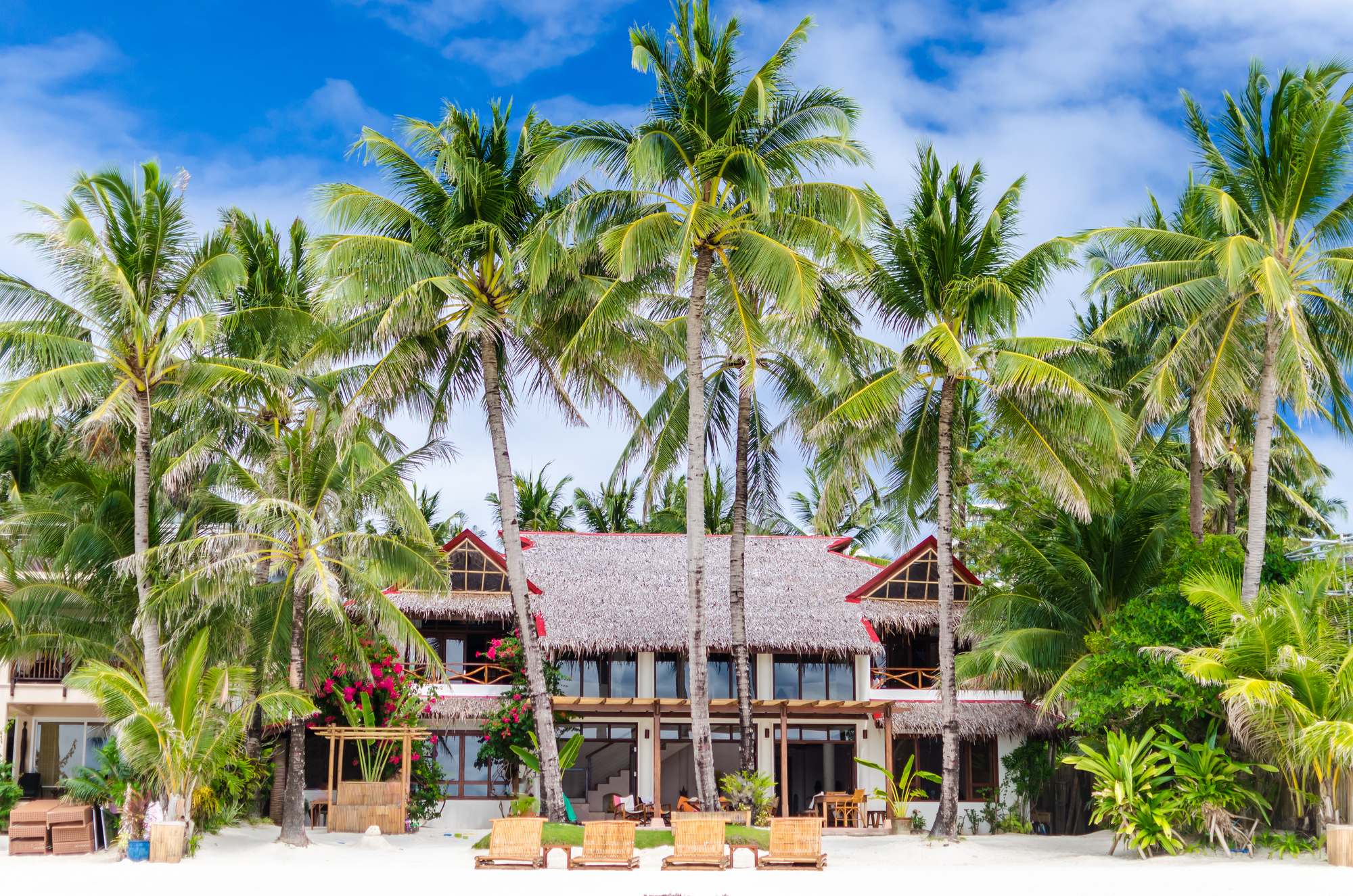 Deep Philippines in 21 days: north Luzon, the Visayas and Palawan