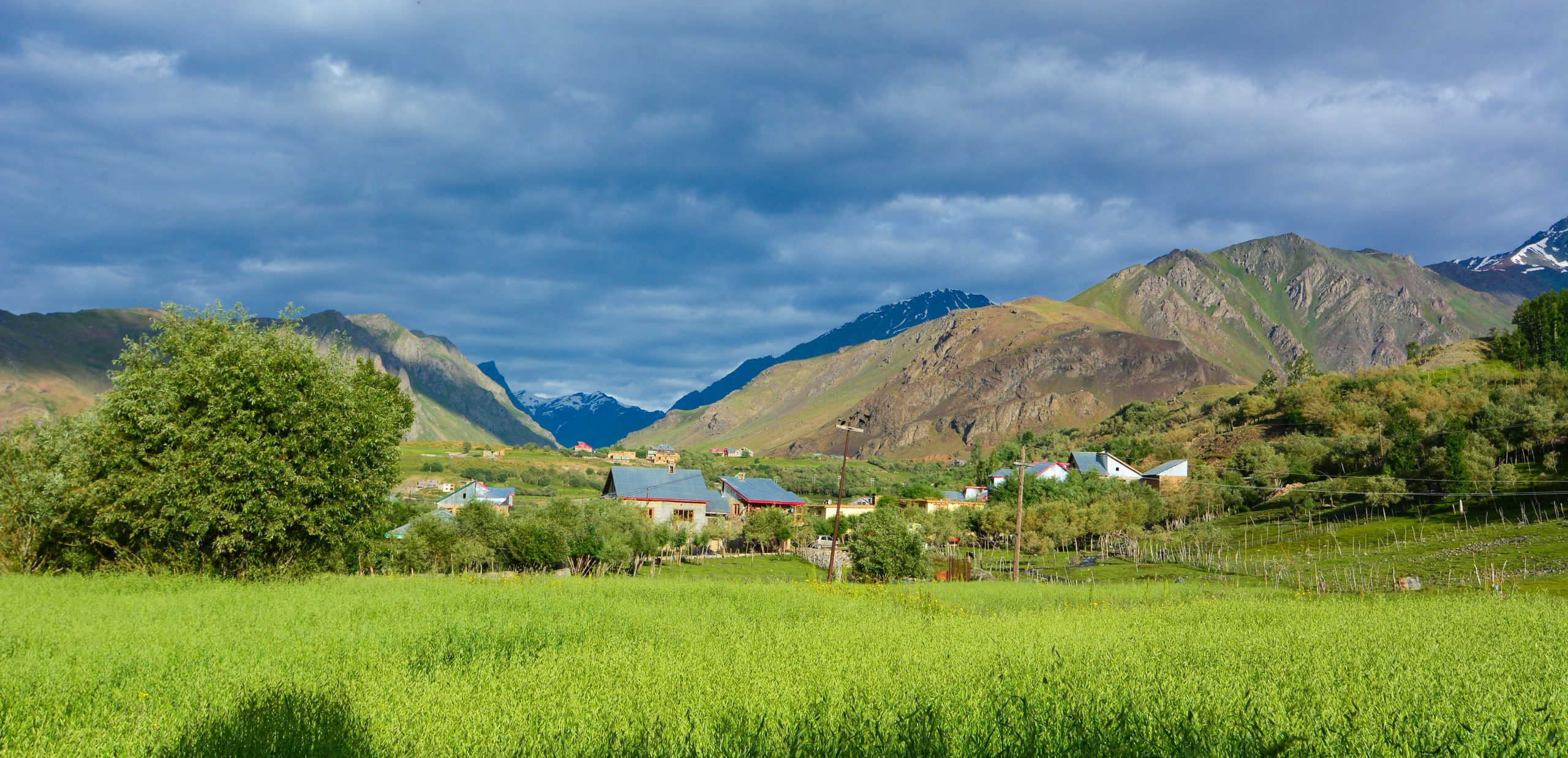 Ladakh and the Himalaya: 15 days