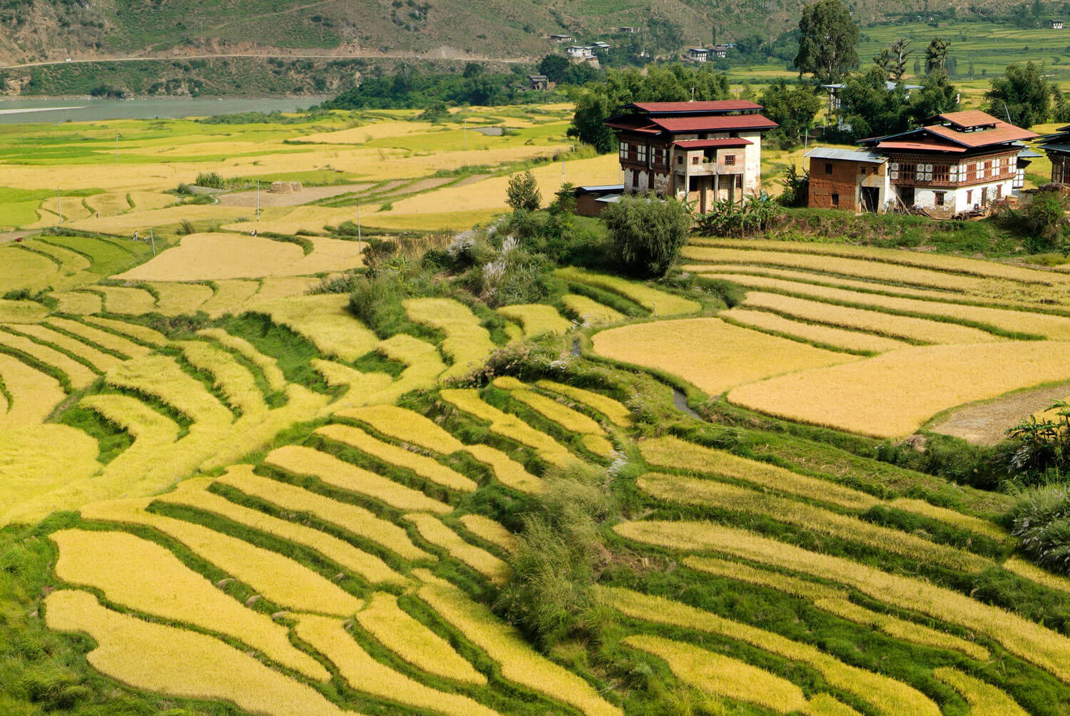 Bhutan: the complete guide to planning your trip
