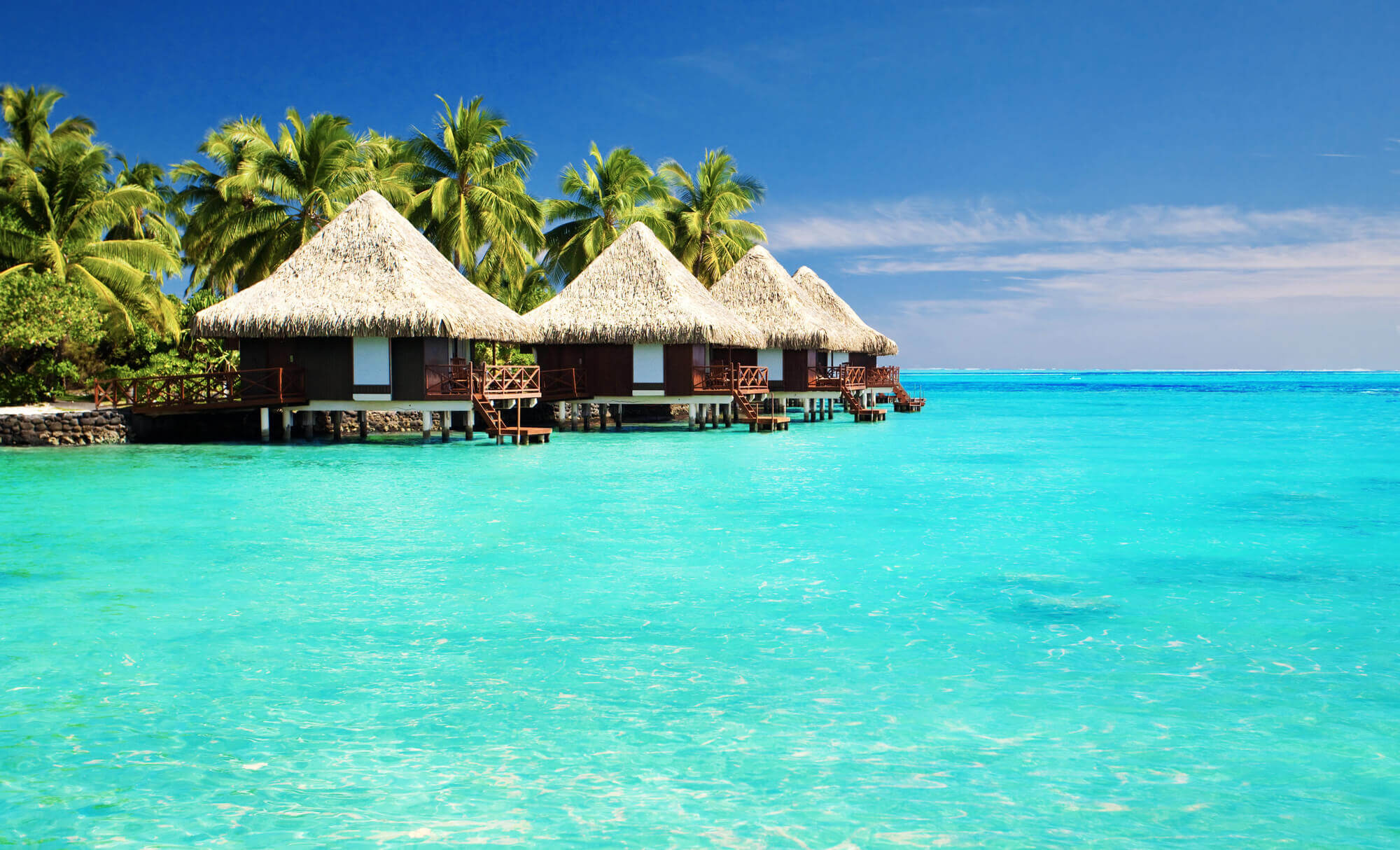 Diving the Maldives: 10 days, a liveaboard and three nights ashore