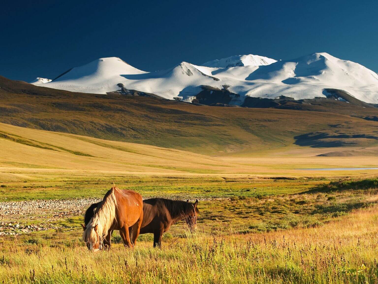 Mongolia