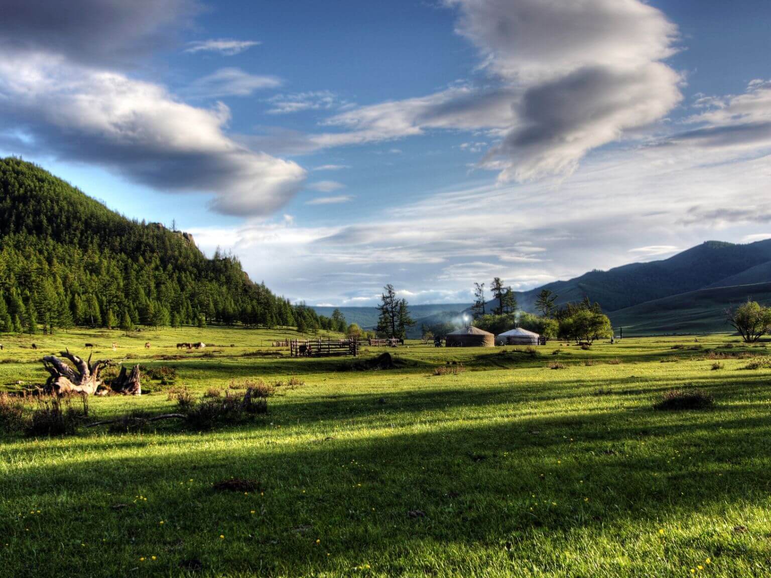 Mongolia: the complete guide to planning your trip