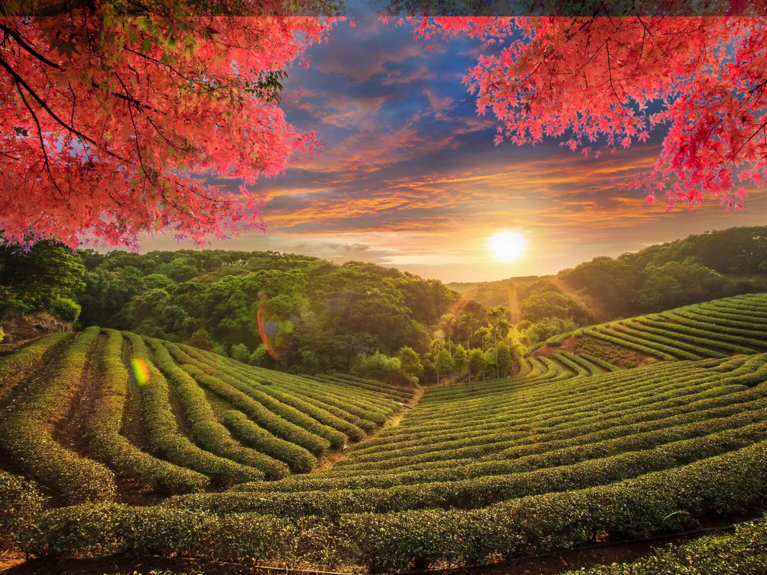 Taiwan: the complete guide to planning your trip