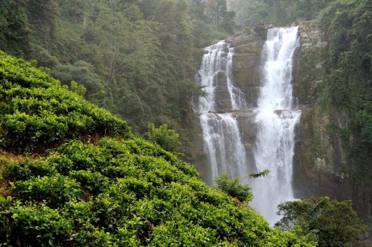 Sri Lanka by food and culture: 13 days