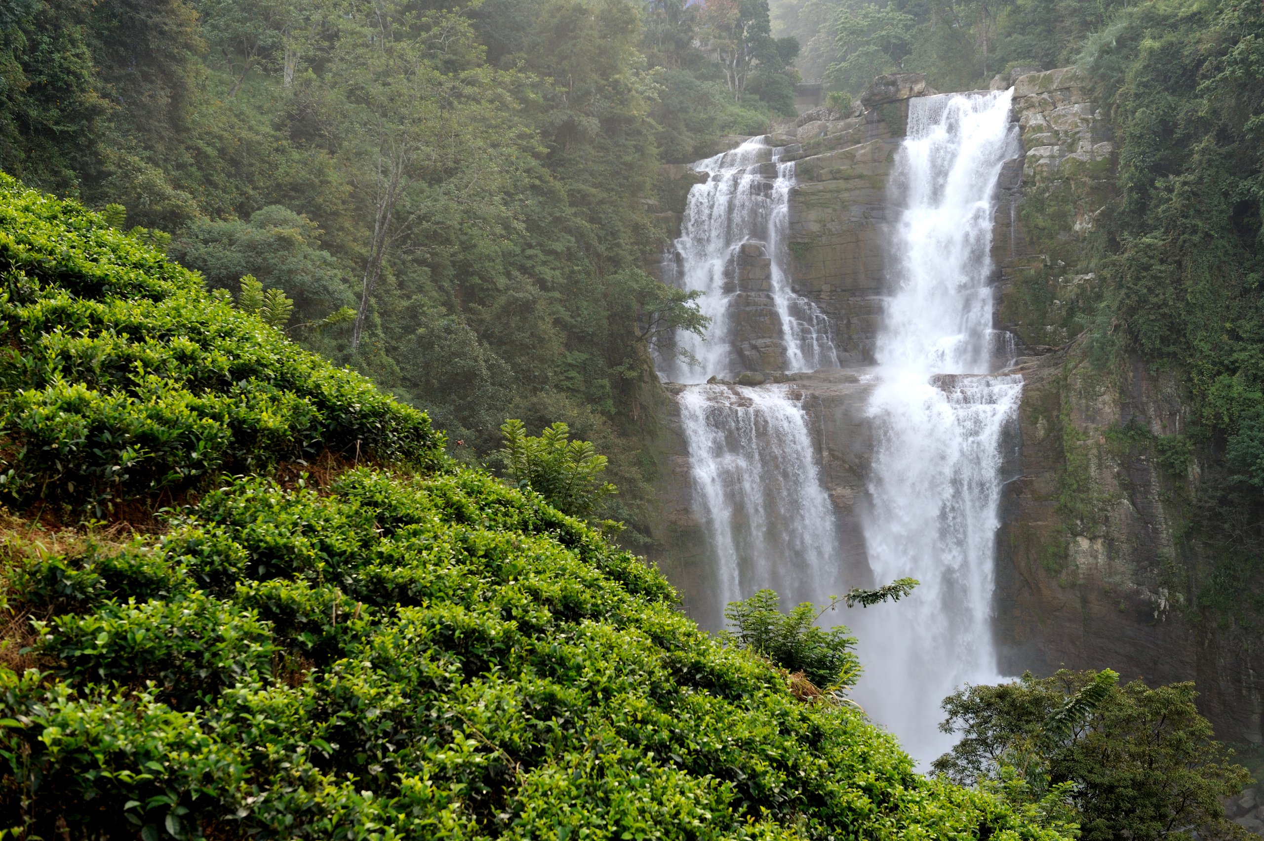 Sri Lanka by food and culture: 13 days