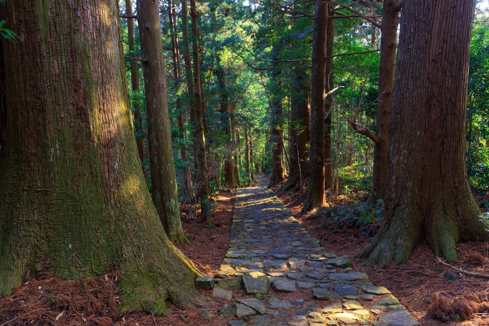 Japan with children: 12 days that work for everyone