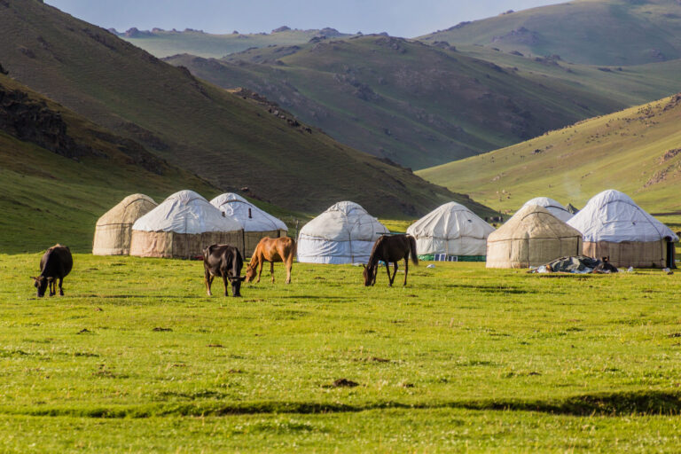 Svaneti and Tusheti in 12 days: the two high regions, walked