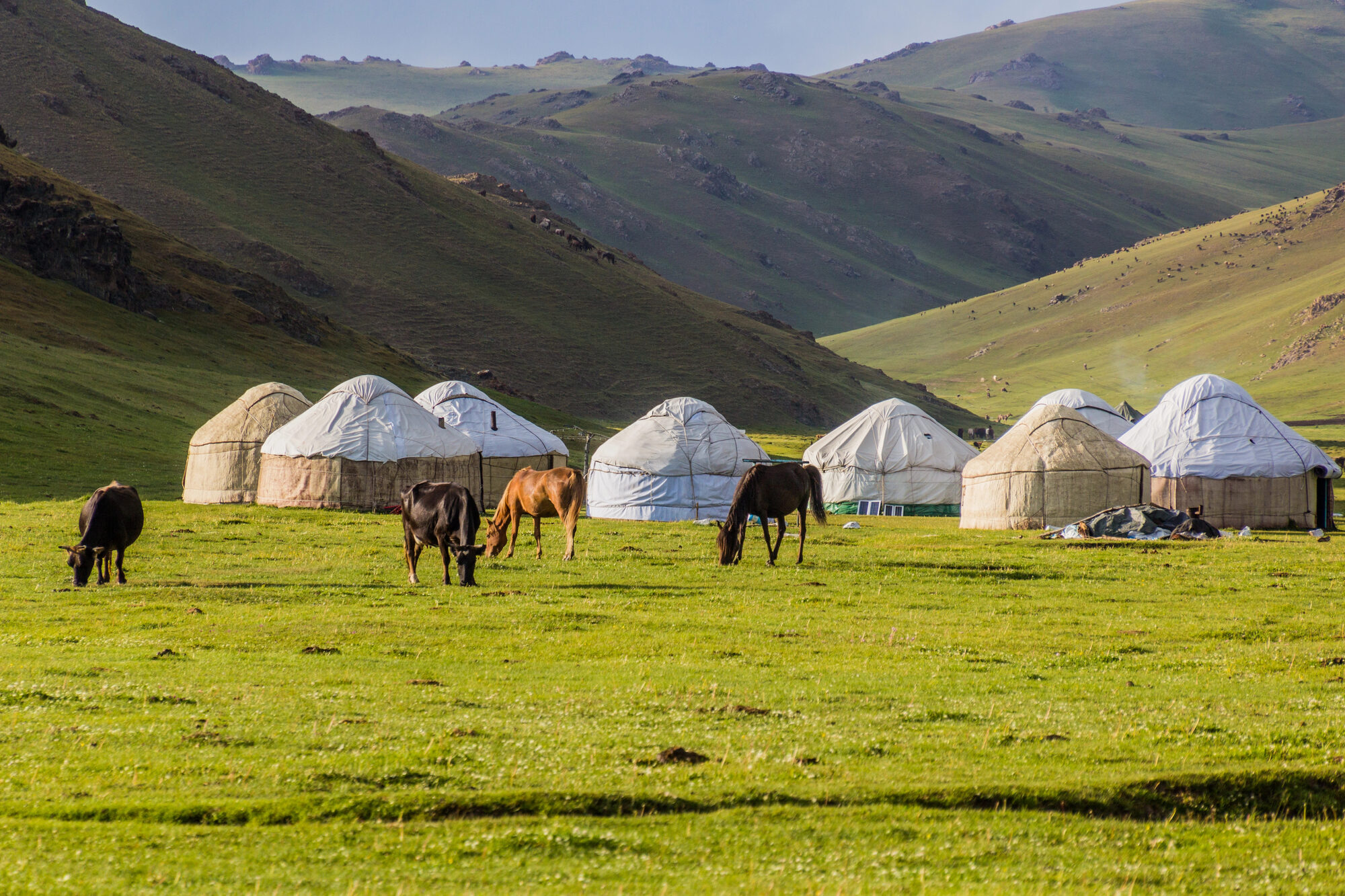 Svaneti and Tusheti in 12 days: the two high regions, walked