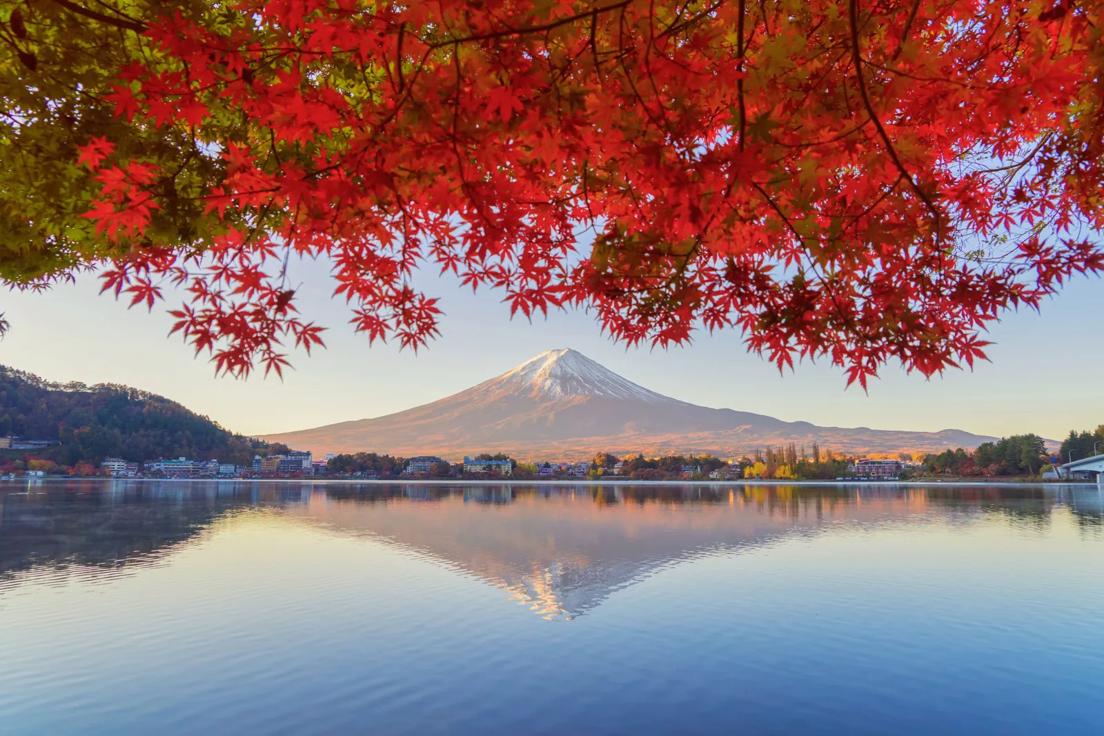 Mount Fuji reflected in Lake Kawaguchi behind red autumn maples