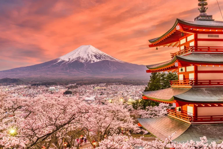 Chureito Pagoda and Mount Fuji above a sea of cherry blossom in spring
