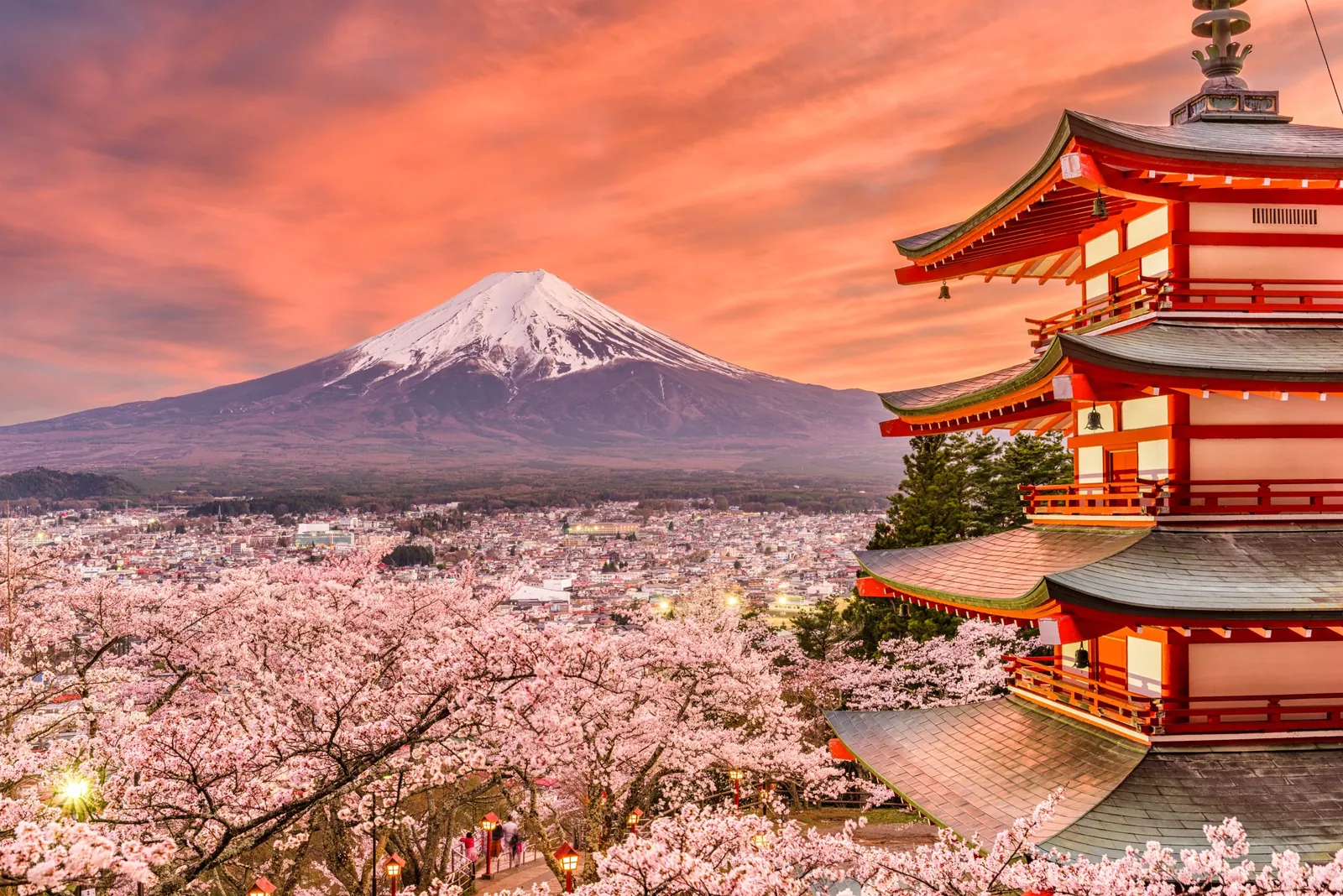 Chureito Pagoda and Mount Fuji above a sea of cherry blossom in spring