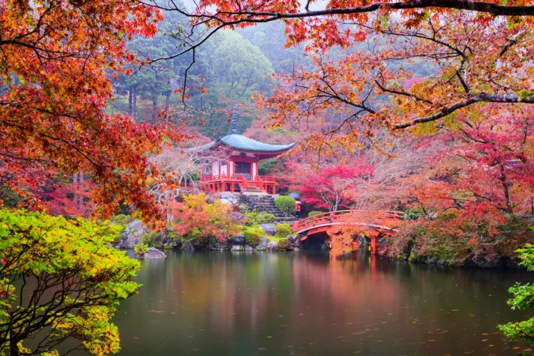 Red maple leaves around the pond at Daigo-ji temple in Kyoto