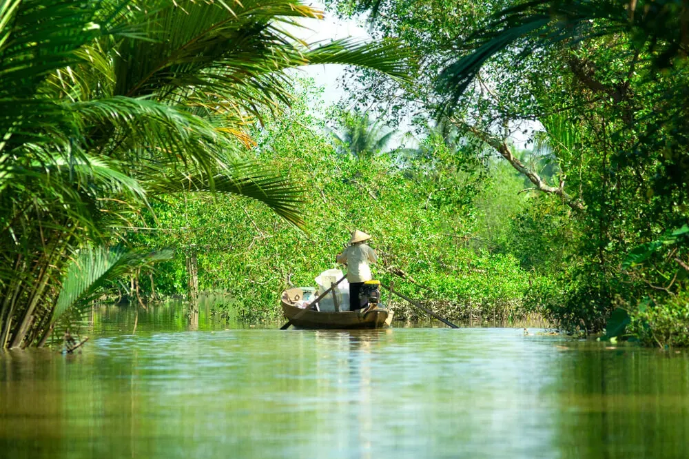 A rowing boat on a green canal in the Mekong Delta