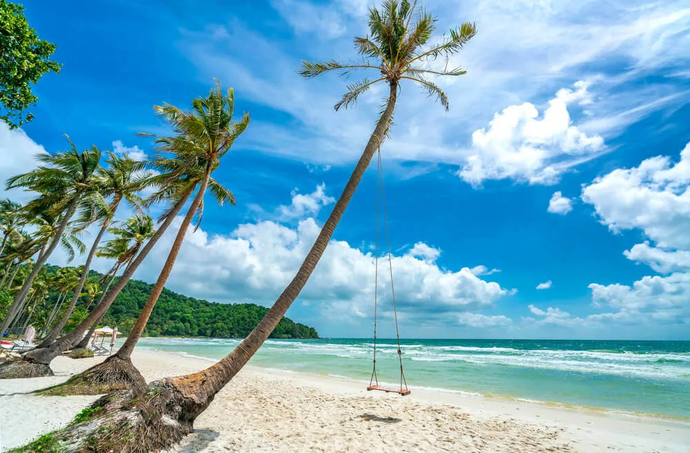 Palm trees and a swing on a beach in Phu Quoc